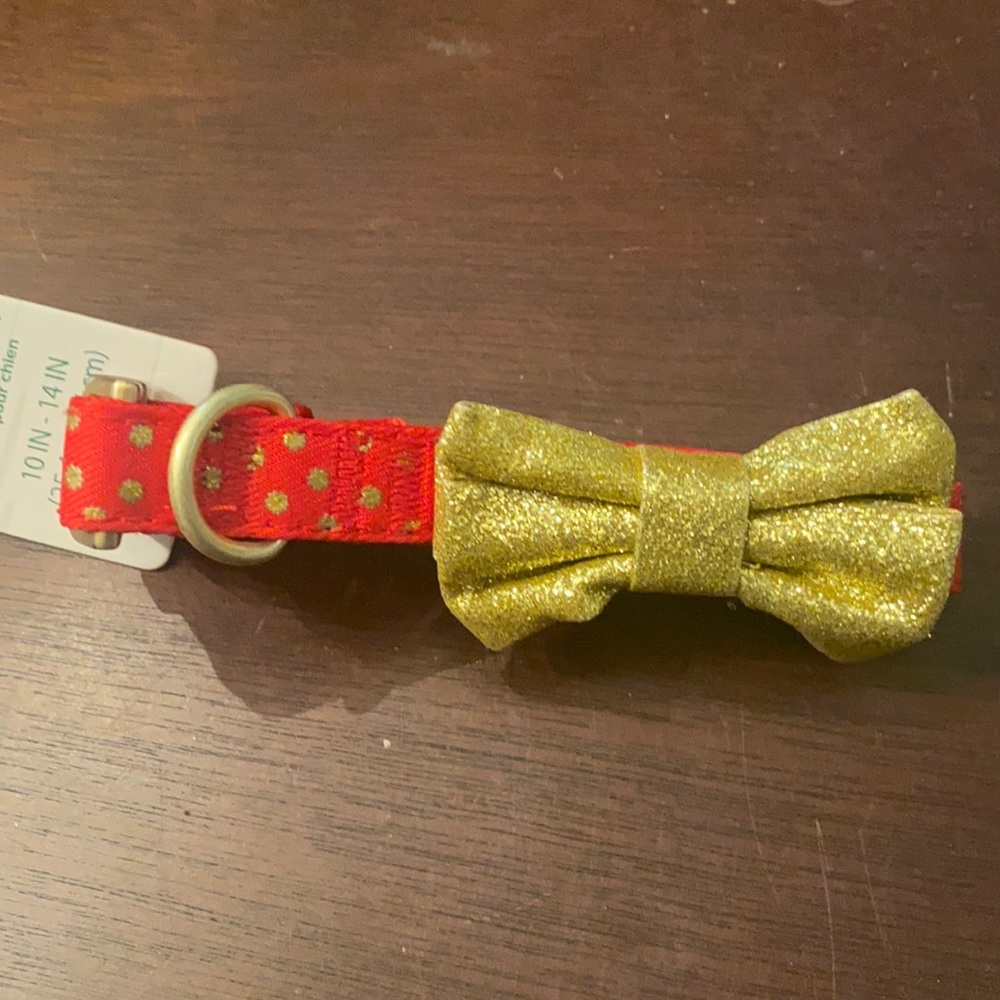 Red and gold collar